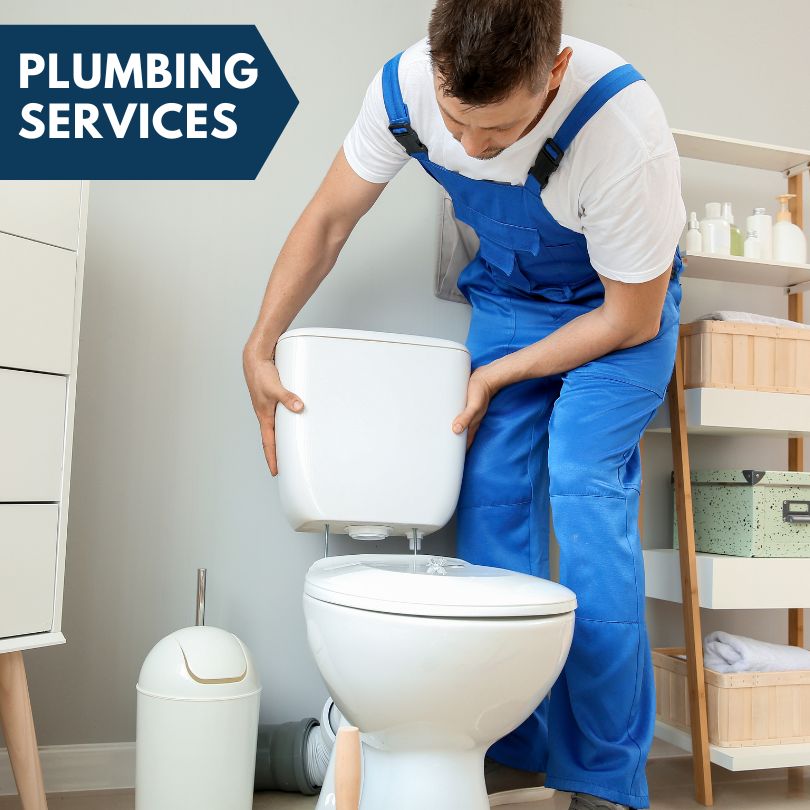 Plumbing Company in East Leroy, MI